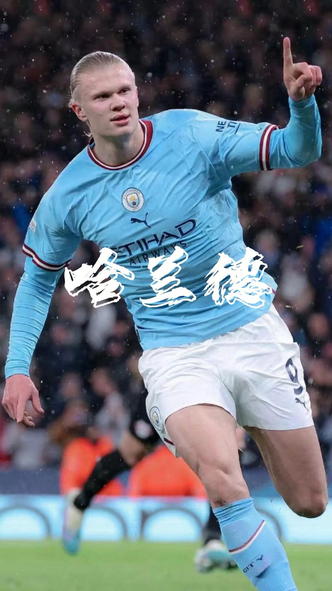 头身比与腿 头身比与腿