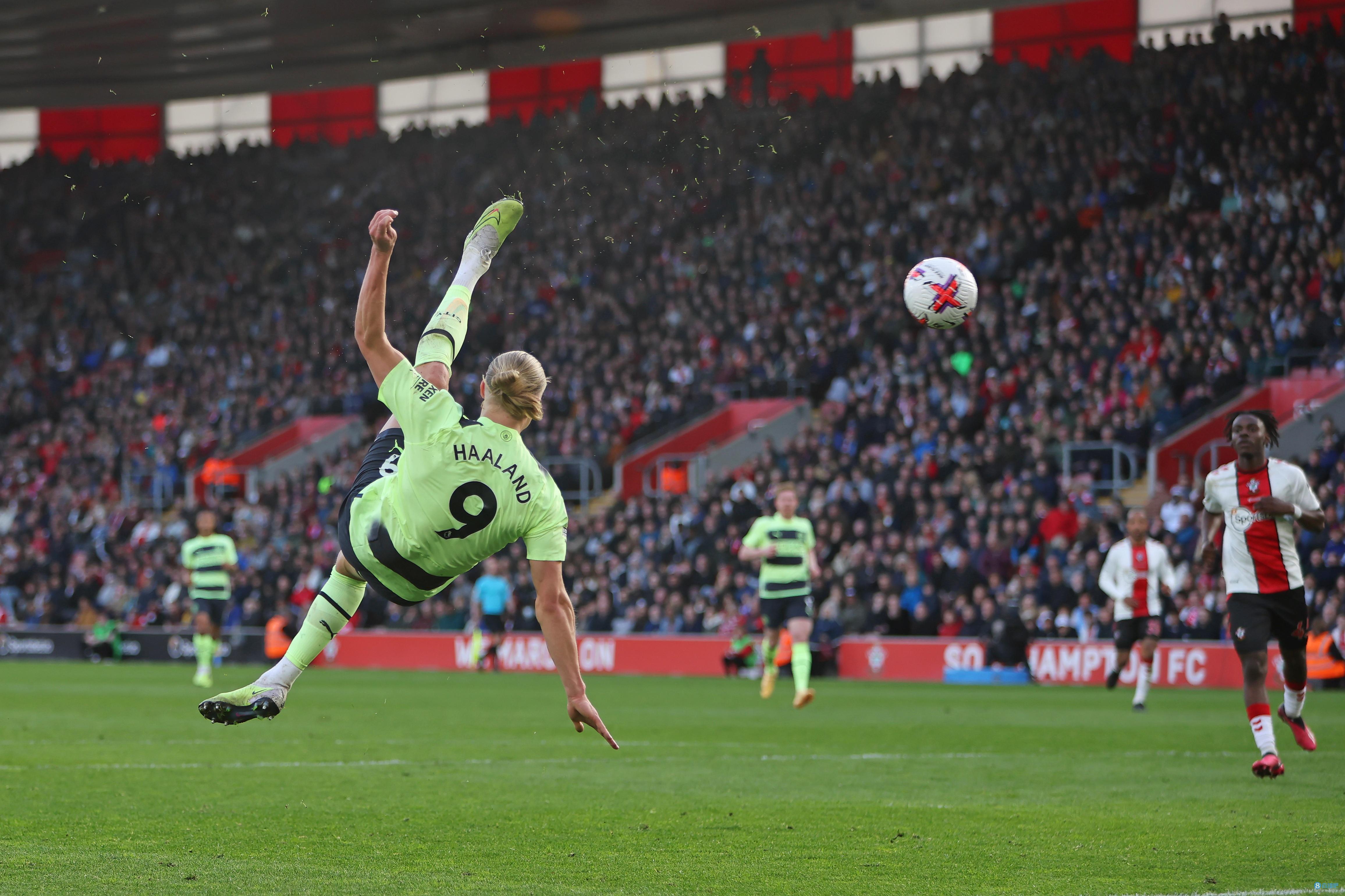 的回合里完 的回合里完
